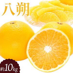 yӂ邳Ɣ[Łz 10kg __ s3{-4{oׁta̎R 쒬 ʕ t[c͂ nbTN k 