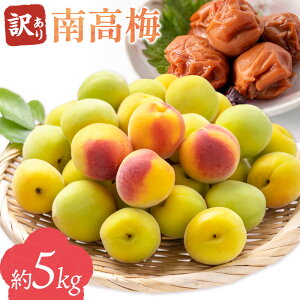 yӂ邳Ɣ[Łz󂠂 썂~ 5kg __ s6{-6{oׁta̎R 쒬 ~  E ~ ~ ~Vbv 