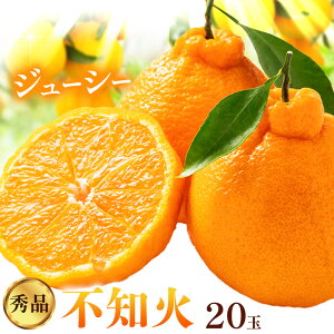 yӂ邳Ɣ[Łzk Gi sm ( fR| ) Ɠi 2kgi 20 j __ s2{-2{oׁta̎R 쒬 ʕ t[c ʂ fR| Ɠi