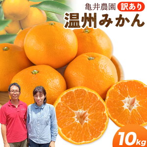 yӂ邳Ɣ[ŁzB݂ 10kg 󂠂i T_ s11{-1{oח\(yj)ta̎R 쒬 k k ʕ t[c ~J ݂ B