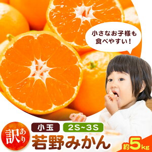 yӂ邳Ɣ[Łza̎RY 󂠂 ʎ݂ (2S-3STCY) ݂  Iׂe 3kg 5kgs11{-12{oׁt@}GC_ a̎R 쒬 ʕ t[c 󂠂