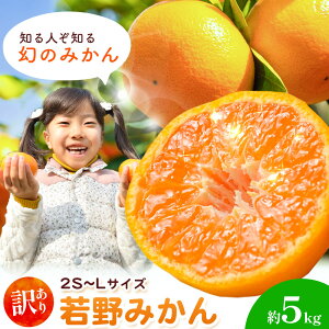 yӂ邳Ɣ[Łza̎RY 󂠂 ݂ (2S`LTCY) ݂ Iׂe 3kg 5kgs11{-12{oׁt@}GC_ a̎R 쒬 ʕ t[c 󂠂݂ 