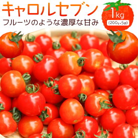 【ふるさと納税】和歌山産 ミニトマト トマト キャロルセブン 約1kg サイズおまかせ 山崎農園《30日以内に出荷予定(土日祝除く)》 和歌山県 日高川町 とまと 送料無料