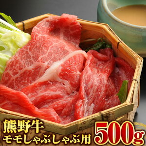 yӂ邳Ɣ[Łzya̎R̃uhzF싍 Ԃԗp 500g Iفs90ȓɏo(yj)t a̎R 쒬 F싍    Ԃ