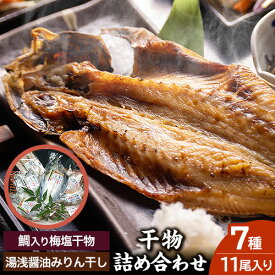 【ふるさと納税】新鮮魚の鯛入り梅塩干物と湯浅醤油みりん干し7品種11尾入りの詰め合わせ（和歌山近海産の新鮮魚使用） 厳選館《90日以内に出荷予定(土日祝除く)》和歌山県 日高川町