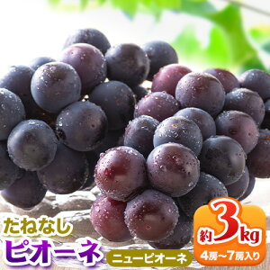 yӂ邳Ɣ[Łz ys\z˂Ȃ sI[l Iׂe 1.2kg 2kg 3kg I s2026N8{-9{oׁt a̎R 쒬 t[c Ԃǂ sI[l ˂Ȃ a̎RY 