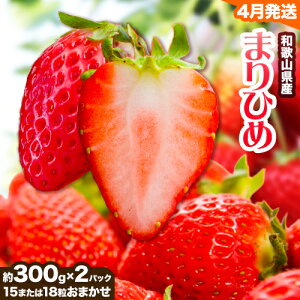 yӂ邳Ɣ[Łzy4za̎RYuh u܂Ђ߁v300g×2pbN (15܂18܂) 쒬Iفs4{-4oח\ta̎R 쒬   fP 