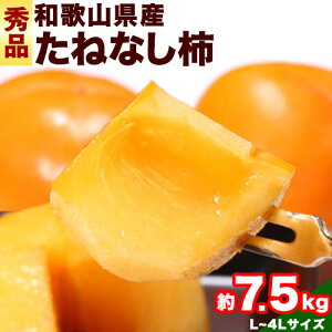 yӂ邳Ɣ[Łzys\z a̎RY ˂Ȃ ` i L`4L TCY ܂ j  7.5kg Gi I s2025N10{-11{oׁt a̎R 쒬 ` JL  W[V[ t[c
