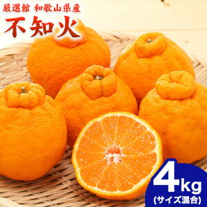 yӂ邳Ɣ[Łza̎RY sm 4kg(TCY) Iفs2{-4{oׁta̎R 쒬 fR| łۂ k sm ʂ  