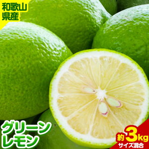 yӂ邳Ɣ[ŁzyYz a̎RY O[   3kg I iTCYj s2025N10{-11{oׁta̎R 쒬  k