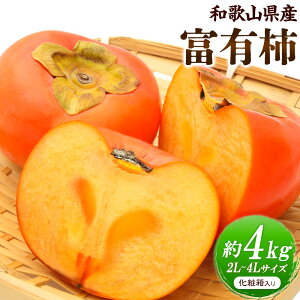 yӂ邳Ɣ[Łzys\zI a̎RY  xL` 4kg 2L`4LTCY ϔ I s11{-12oׁta̎R 쒬  ʕ t[c 