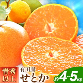 【ふるさと納税】＜先行予約＞一度は食べていただきたい! 有田産の せとか 青秀以上 約4～5kg （サイズおまかせ） 厳選館 《2025年2月下旬-3月下旬頃出荷》 和歌山県 日高川町 せとか 柑橘 有田産