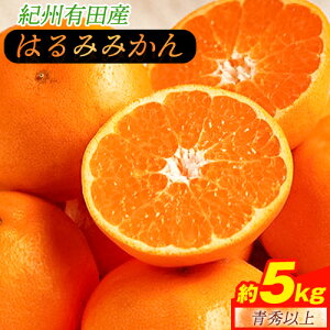 yӂ邳Ɣ[Łzs\񁄐Gȏ IBLcY ͂ 5kgiLTCYjs2026N1{-3{oׁta̎R 쒬 t[c ʕ ͂