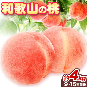 yӂ邳Ɣ[Łza̎R  GIiys\z Iׂe  2kg ܂  4kg Iفyzsn悠zs2026N6-8{oׁta̎R 쒬 ʕ t[c   