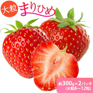 yӂ邳Ɣ[Łza̎RYuhu܂Ђ߁v300g×2pbNi嗱6`12j 쒬Iفs12{-2oׁta̎R 쒬   fP }q t[c ʕ