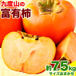 yӂ邳Ɣ[Łzys\z`̖Yn xR xL` Gi  7.5kg TCY܂ I s11{-12{oח\t a̎R 쒬 ` JL  W[V[ t[c