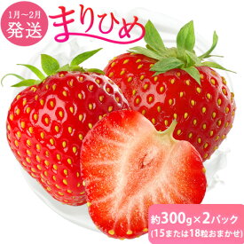 【ふるさと納税】【1月〜2月発送】和歌山県産ブランド いちご「まりひめ」約300g×2パック (15または18粒おまかせ) 日高川町厳選館《1月中旬-2月末頃出荷》和歌山県 日高川町 送料無料 苺 鞠姫 マリヒメ フルーツ 果物 お取り寄せ 【配送不可地域あり】