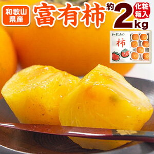 yӂ邳Ɣ[ŁzmIEYna̎RY  xL`  2kgi ϔ  ji2L`4LTCYj Iفs2025N11{-12{oׁta̎R 쒬 xL` p `  ʕ Mtg 