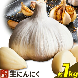yӂ邳Ɣ[Łzɂɂ  a̎RY ɂɂ 1kg ƒp I s5{-5{oׁt a̎R 쒬 K[bN ʕ