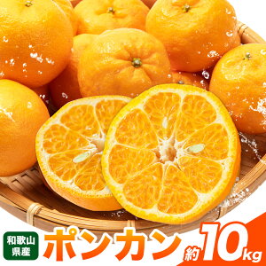 yӂ邳Ɣ[Łz|J a̎RY |J Iׂe 5kg 10kg }cl_s1{-3{oׁt a̎R 쒬 |J { ʕ t[c k Yn 