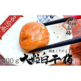【ふるさと納税】無添加 白干梅 大粒3L～4Lサイズ 400g紀州南高梅【梅農家厳選 手づくり梅干】 | 白浜町 紀州南高梅 白干梅 無添加 大粒サイズ 手づくり梅干し 人気 おすすめ ご飯のお供 健康 酸味 和歌山産 保存食 お取り寄せ 送料無料 ふるさと納税
