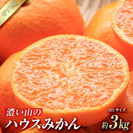 【ふるさと納税】濃い山のハウスみかん 約3kg MS玉 高糖度 ギフト 2024年7月以降発送分 | みかん 蜜柑 和歌山県 3kg 完熟みかん 和歌山県産 紀州 柑橘 フルーツ 柑橘類 果物 白浜町 家庭用 ご家庭用 お取り寄せ ご当地 グルメ 旬 ふるさと納税 返礼品 故郷納税