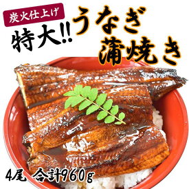 【ふるさと納税】うなぎ蒲焼き（蒲焼たれ・ 山椒付き）