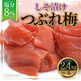 【ふるさと納税】訳あり 紀州南高梅 つぶれ梅 セット しそ漬け梅 塩分8％ 選べる800g ～ 2.4kg【白浜グルメ市場】 | 和歌山県 白浜町 和歌山 取り寄せ ご当地グルメ 梅 うめ ウメ 紀州梅 紀州 しそ梅 シソ 特産品 梅干し しそ梅干し 梅干 ご飯のお供 ごはんのお供