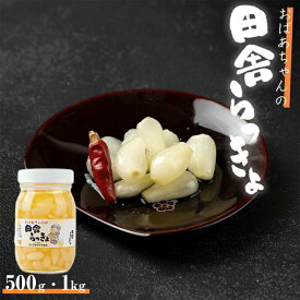 【ふるさと納税】自慢の逸品「おばあちゃんの田舎らっきょ」500g or 1kg | 和歌山県 和歌山 白浜町 らっきょ らっきょう らっきょう漬け ラッキョ ラッキョウ 漬け物 ご飯のお供 ごはんのおとも ごはんのお供 ご飯のおとも ご飯の友 お土産 お取り寄せ おつまみ 漬物 つまみ