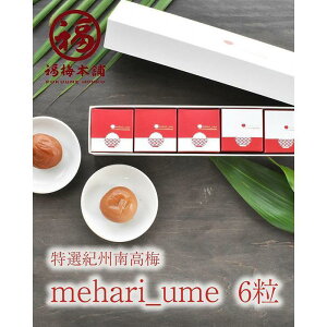 yӂ邳Ɣ[ŁzIB썂~ 嗱 mehari_ume6yMtg ϔ pz | ~ Hi HHi lC  