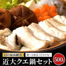 【ふるさと納税】近大クエ鍋セット ( 500g ）こだわりだしぽん酢付き【選べる配送時期】 | 取り寄せ お取り寄せ グルメ お取り寄せグルメ ご当地 ご当地グルメ 海鮮 魚介 くえ クエ 鍋 なべ 切り身 アラ 特産品 海の幸 クエ鍋セット 高級魚 あら 魚 白浜町
