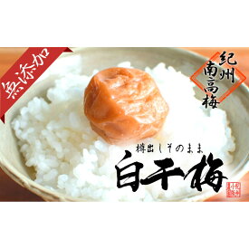 【ふるさと納税】無添加　白干梅　(2L～3Lサイズ、800g）紀州南高梅　【梅農家厳選　手づくり梅干】 | 和歌山県 白浜町 和歌山 取り寄せ お取り寄せ グルメ お取り寄せグルメ ご当地 ご当地グルメ 梅 うめ ウメ 梅干 梅干し 漬け物 漬物 紀州 紀州梅干し
