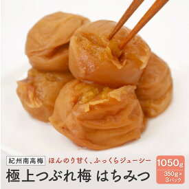 【ふるさと納税】紀州南高梅　極上つぶれ梅　はちみつ（350g×3個）塩分約8％ | 白浜町 紀州南高梅 極上 つぶれ梅 はちみつ梅 甘酸っぱい 無添加 人気 おすすめ 梅干し 和歌山産 お取り寄せ 送料無料 ふるさと納税