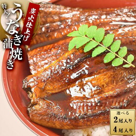 【ふるさと納税】うなぎ蒲焼き（蒲焼たれ・ 山椒付き）