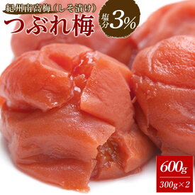 【ふるさと納税】訳あり 紀州南高梅 つぶれ梅 セット しそ漬け梅 塩分3％ 選べる 600g ~ 1.8kg | 白浜町 しそ風味 つぶれ梅 低塩分 食べやすい 大容量 人気 おすすめ 梅干し 和歌山産 国産 ご飯のお供 保存食 ふるさと納税