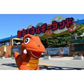 【ふるさと納税】【選べるチケット】 白浜エネルギーランド 入館券 | 楽天ふるさと 納税 和歌山県 和歌山 白浜町 旅行 トラベル チケット トラベルクーポン 金券 観光 ペアチケット ペア プレゼント 国内旅行 贈り物 お出かけ テーマパーク 遊び 大人 ワンストップ