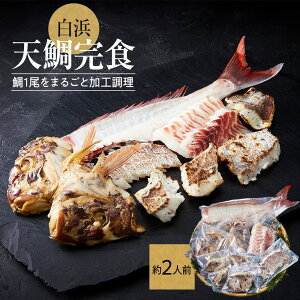 【ふるさと納税】白浜天鯛完食 【先行予約 2026年3月初旬〜5月中旬に順次配送】 | 魚 お魚 さかな 食品 人気 おすすめ 送料無料
