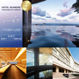 【ふるさと納税】［SHIRAHAMA KEY TERRACE ホテルシーモア］ペア日帰り入浴券 昼食付《熊野牛ハンバーグ御膳料理》 | 旅行 日帰り 入浴券 券 チケット 人気 おすすめ
