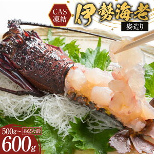 yӂ邳Ɣ[ŁzyNzzCAS ɐCV p 500g ` 600g 2lO | Gr CV    Hi lC   N Nn