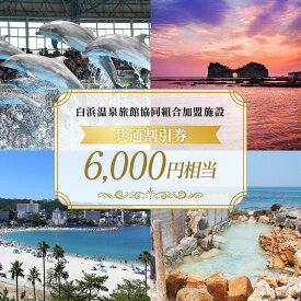 【ふるさと納税】白浜温泉旅館協同組合加盟施設 共通宿泊割引券 6000円相当 | 白浜町 温泉 宿泊 割引券 旅館 ホテル 観光 人気 おすすめ チケット クーポン 癒し 絶景 南紀白浜 お取り寄せ 送料無料 ふるさと納税