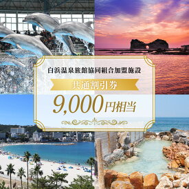 【ふるさと納税】白浜温泉旅館協同組合加盟施設 共通宿泊割引券 9000円相当 | 白浜町 温泉旅館協同組合 宿泊割引券 共通利用券 人気 おすすめ 温泉地 観光地 家族旅行 カップル 記念日 宿泊施設利用券 お取り寄せ 送料無料 ふるさと納税