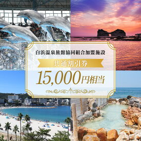 【ふるさと納税】白浜温泉旅館協同組合加盟施設 共通宿泊割引券 15000円相当 | 白浜町 温泉旅館協同組合 宿泊割引券 共通利用券 人気 おすすめ 温泉地 観光地 家族旅行 カップル 記念日 宿泊施設利用券 お取り寄せ 送料無料 ふるさと納税