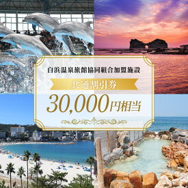【ふるさと納税】白浜温泉旅館協同組合加盟施設 共通宿泊割引券 30000円相当 | 白浜町 温泉旅館協同組合 宿泊割引券 共通利用券 人気 おすすめ 温泉地 高級旅館 観光地 家族旅行 カップル 記念日 宿泊施設利用券 お取り寄せ 送料無料 ふるさと納税