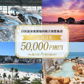 【ふるさと納税】白浜温泉旅館協同組合加盟施設 共通宿泊割引券 50000円相当 | 白浜町 宿泊施設利用券 電子クーポン 温泉地 観光地 人気 おすすめ 旅行券 宿泊割引 家族旅行 カップル 温泉旅館 観光スポット お取り寄せ 送料無料 ふるさと納税
