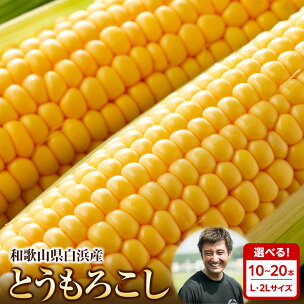 【選べるサイズ／本数】［先行予約］しらはま農家 とうもろこ...