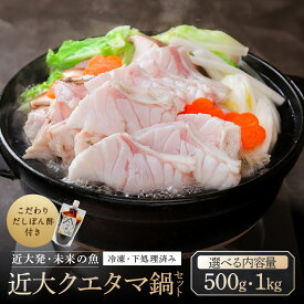 【ふるさと納税】【選べる内容量・配送時期】近大クエタマ鍋セット （500g or 1kg） | くえたま くえ たまかい クエ 魚 魚介類 鍋セット 鍋 海鮮 人気 おすすめ 送料無料 白浜町 くえたま鍋 海鮮鍋 魚介加工品 和食 ふるさと納税 近畿大学水産研究所 だしぽん酢付き