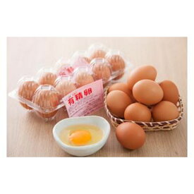【ふるさと納税】高級有精卵 40個 | 卵 食品 人気 おすすめ 送料無料