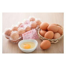 【ふるさと納税】紀州うめ卵 40個　 | 卵 食品 人気 おすすめ 送料無料