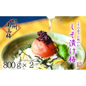 yӂ邳Ɣ[ŁzЂ~@I@(800g×2pbNjIB썂~y~_ƎÂ~z | a̎R a̎R l ~ ~ ~  IB~ IB~ 썂~ т̂ ͂̂Ƃ