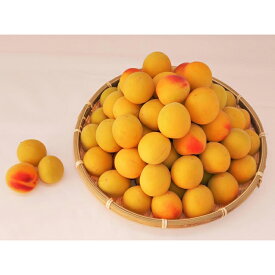 【ふるさと納税】［梅干づくり用］紀州南高梅2kg（3Lサイズ） | 白浜町 紀州南高梅 梅干し用 手作り梅干し用 和歌山産 人気 おすすめ 梅仕事 梅酒 梅シロップ お取り寄せ 送料無料 ふるさと納税